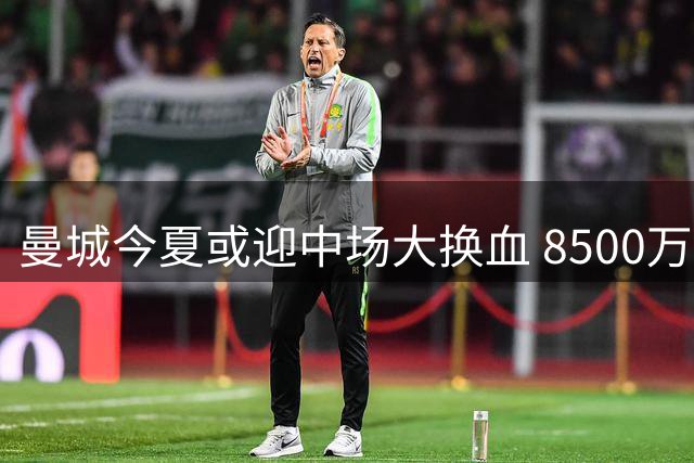 曼城今夏或迎中场大换血 8500万镑引援目标曝光