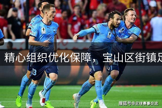 精心组织优化保障，宝山区街镇足球赛精彩纷呈